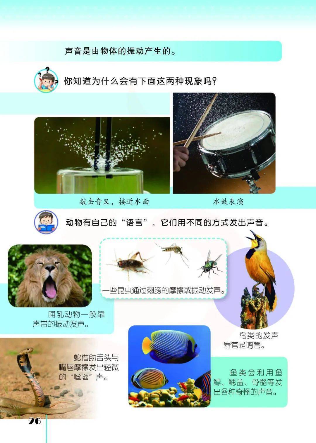 2026蘇教版五年級科學下冊電子課本(PDF高畫質版新教材)