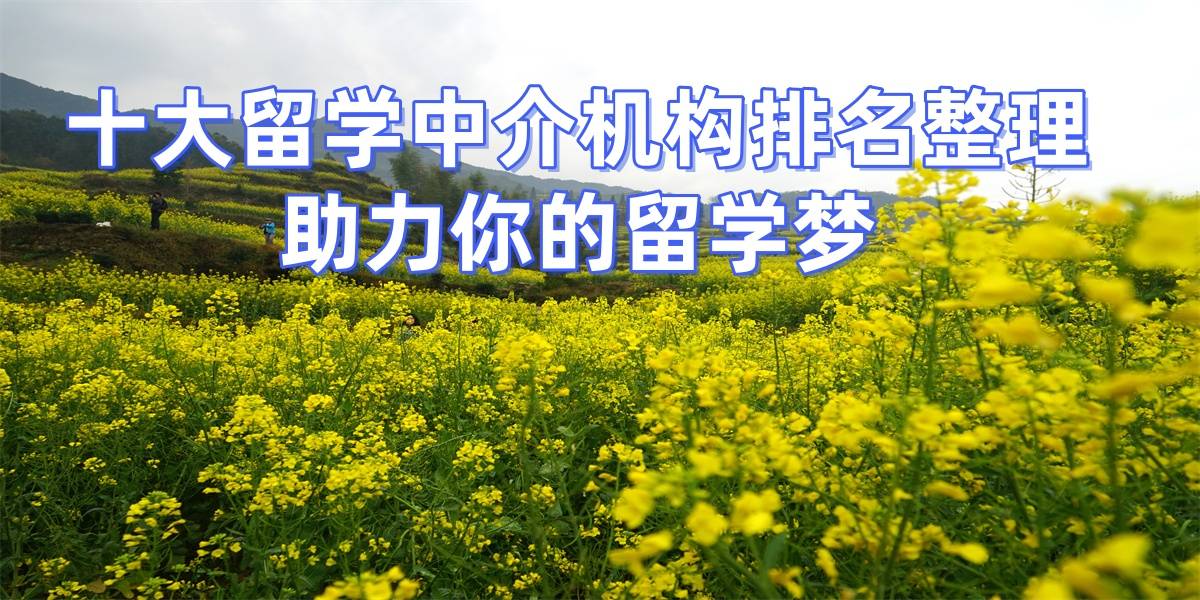 考研後轉留學申請，濟南擅長考研生留學的留學中介top7推薦