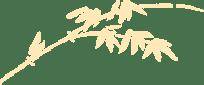 讀紅色圖書，品沂蒙精神