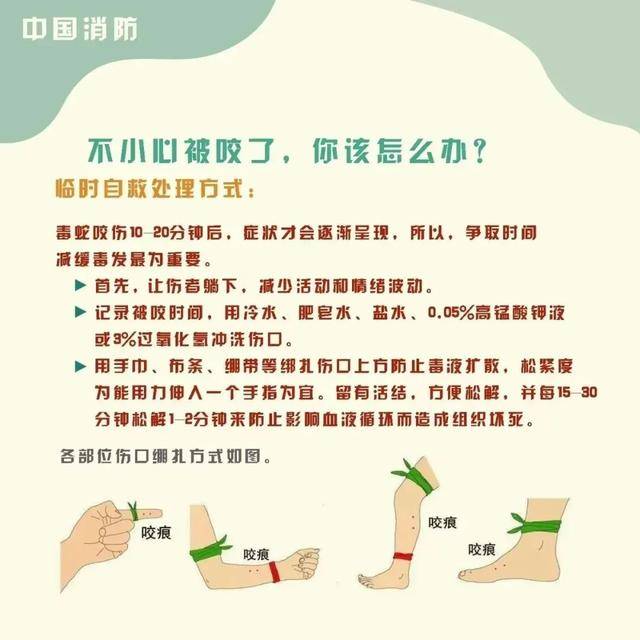 女童被眼鏡王蛇咬傷，“假死”3天后奇蹟生還！
